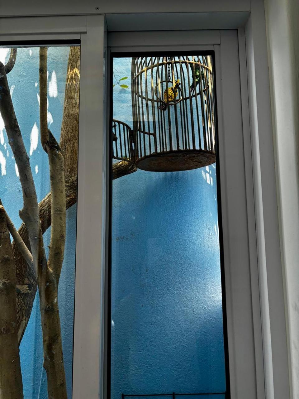 La Rose B&B Cape Town Eksteriør bilde